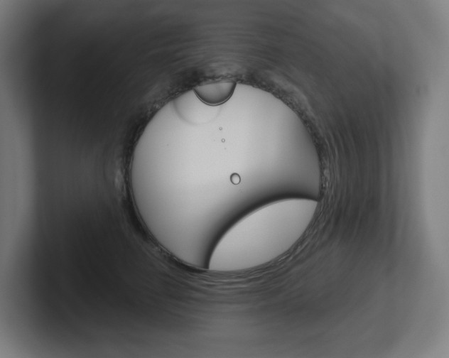X0000102400662200808010956
