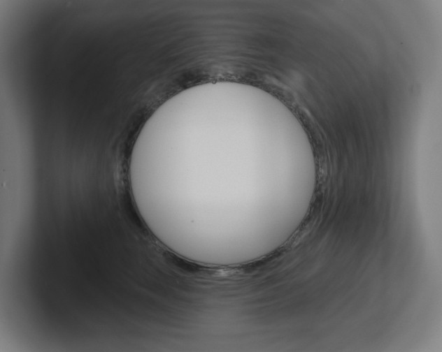 X0000102400663200808010956