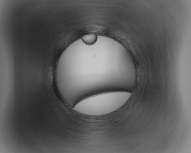 X0000102400664200808010956