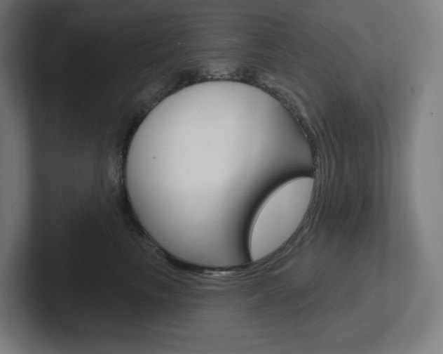 X0000102400665200808010956