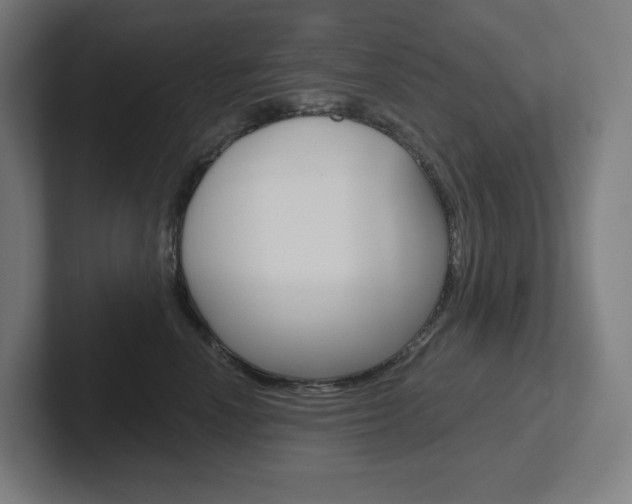 X0000102400666200808010956