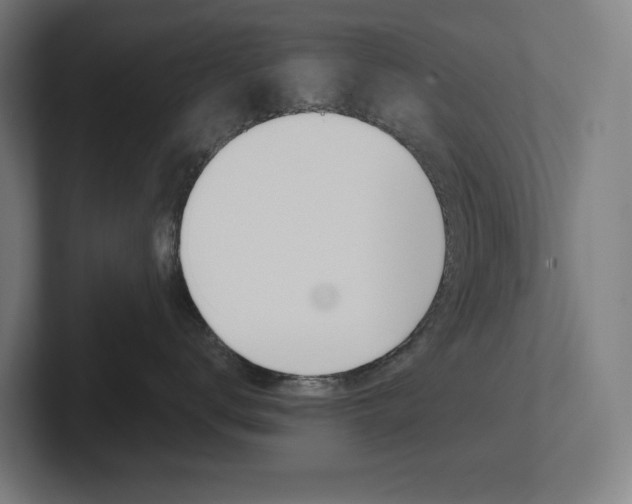 X0000102400672200808010956