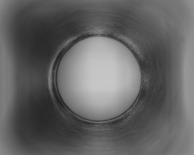 X0000102400678200808010955