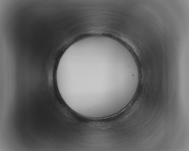 X0000102400681200808010955