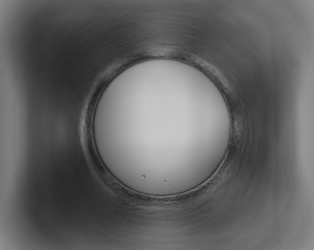 X0000102400682200808010955