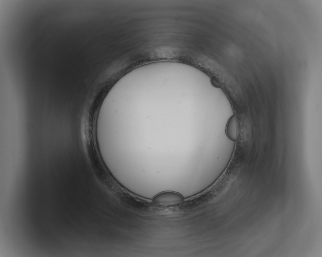 X0000102400683200808010955