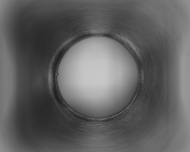 X0000102400684200808010955