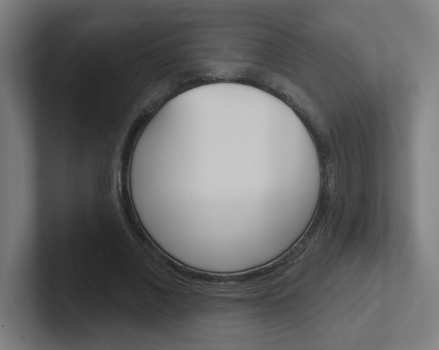 X0000102400685200808010955