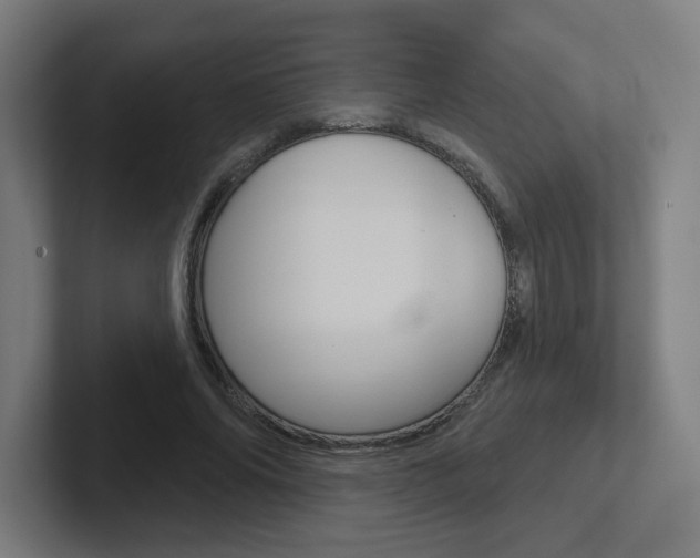 X0000102400686200808010955
