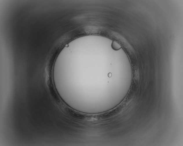 X0000102400687200808010955