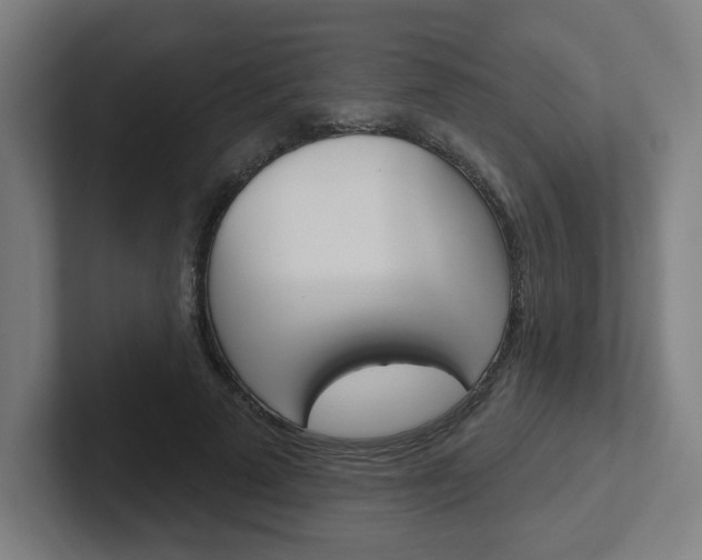 X0000102400689200808010955
