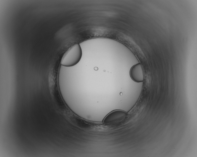 X0000102400691200808010955