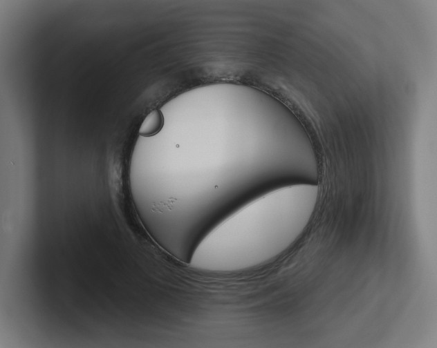 X0000102400693200808010955
