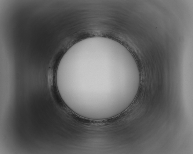 X0000102400694200808010955