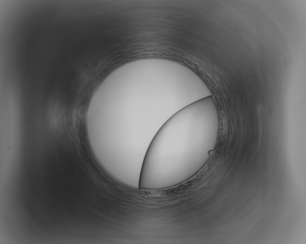 X0000102400695200808010955