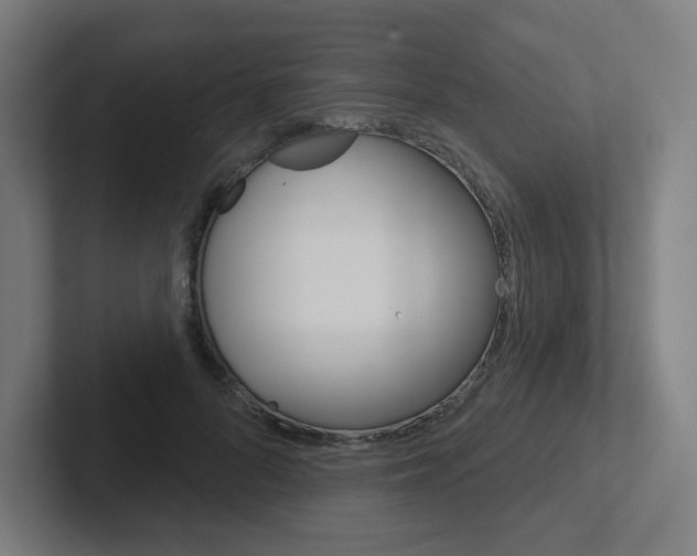 X0000102400696200808010955