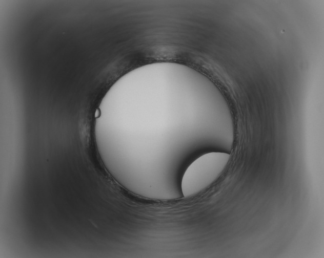 X0000102400697200808010955