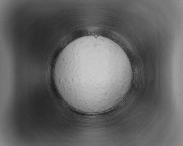 X0000102400698200808010955