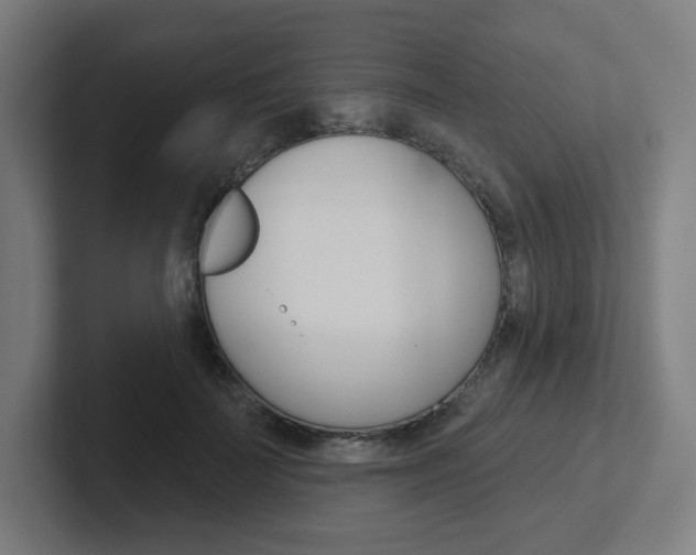 X0000102400699200808010955