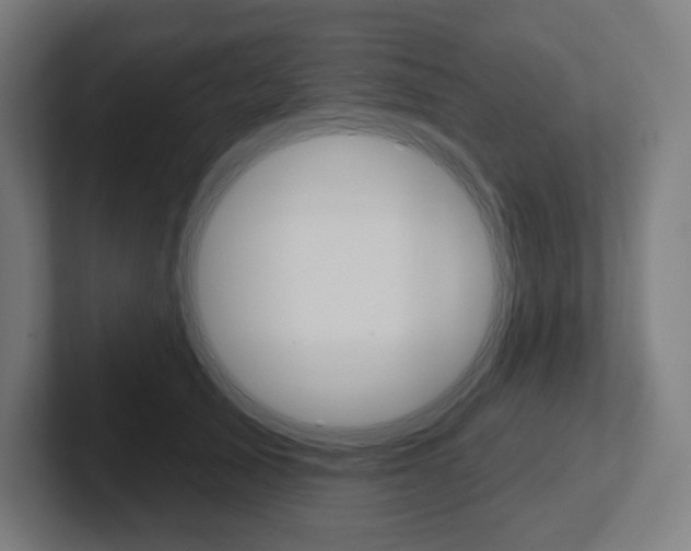 X0000102400705200808010955