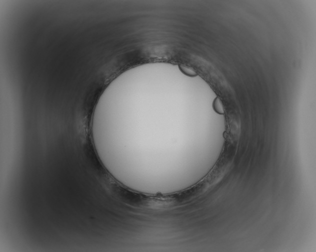 X0000102400707200808010955