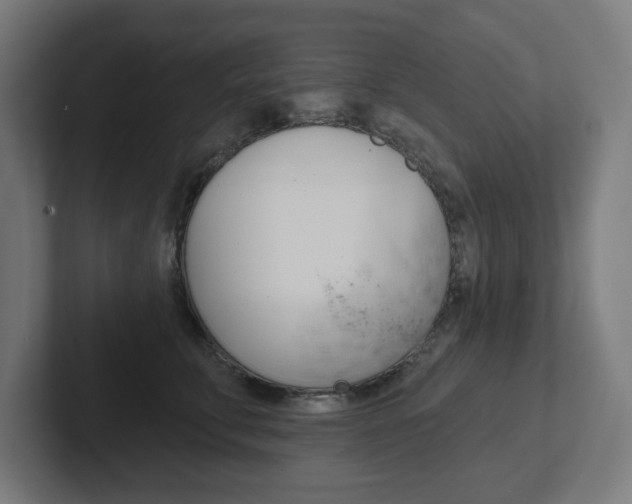 X0000102400711200808010955