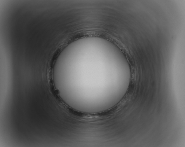 X0000102400712200808010955