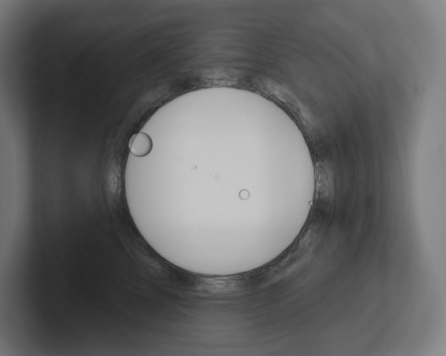 X0000102400713200808010955