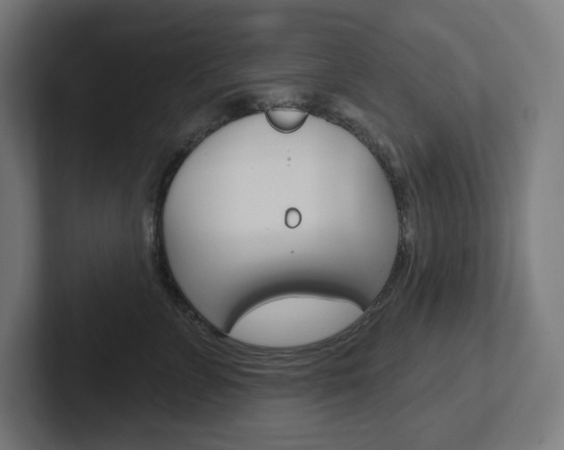 X0000102400715200808010955