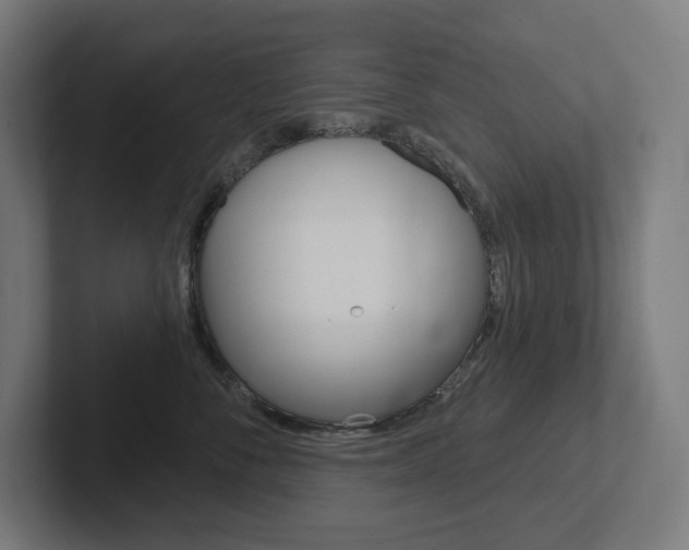 X0000102400716200808010955
