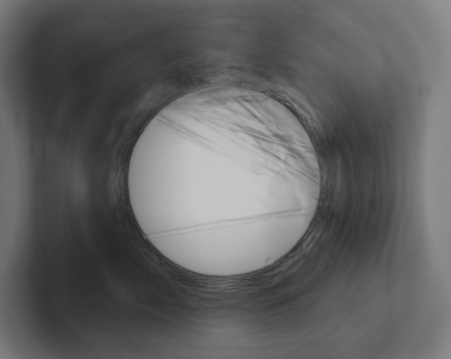 X0000102400717200808010955