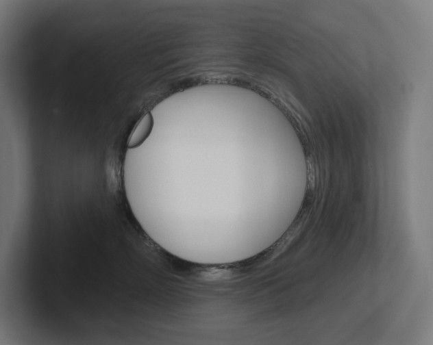 X0000102400718200808010955
