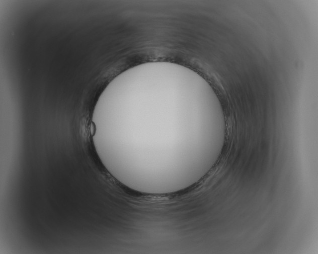 X0000102400719200808010955