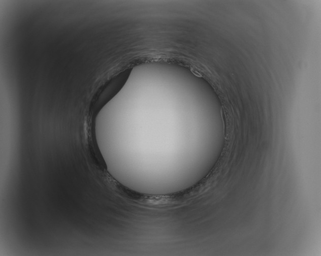 X0000102400720200808010955