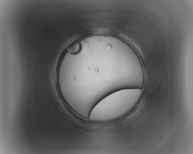 X0000102400721200808010954