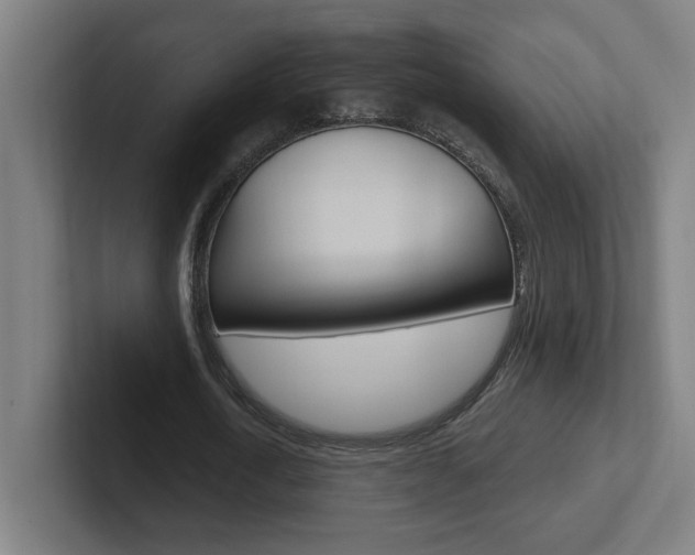 X0000102400722200808010954