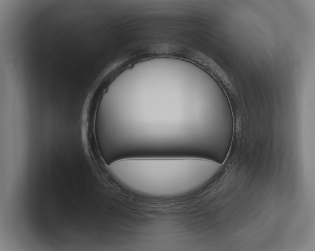 X0000102400724200808010954