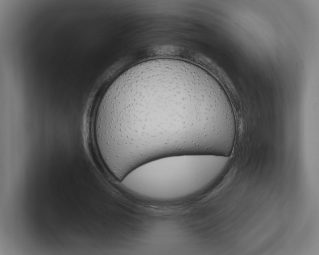 X0000102400725200808010954