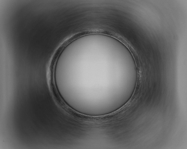 X0000102400726200808010954