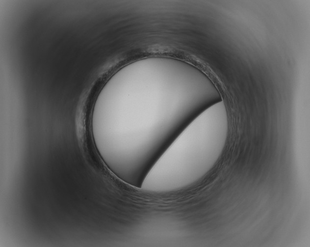 X0000102400727200808010954