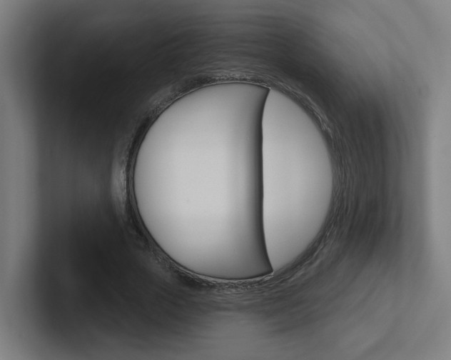 X0000102400729200808010954
