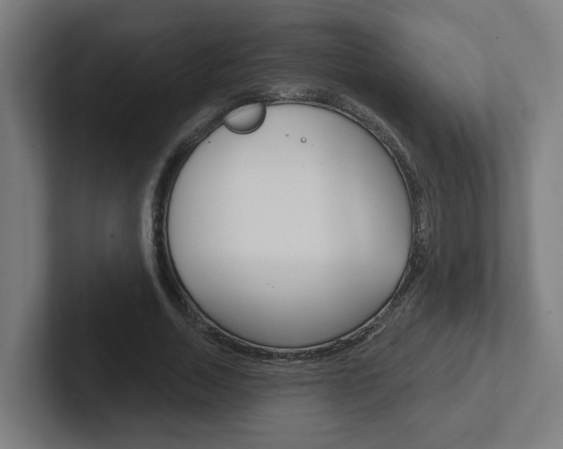 X0000102400730200808010954