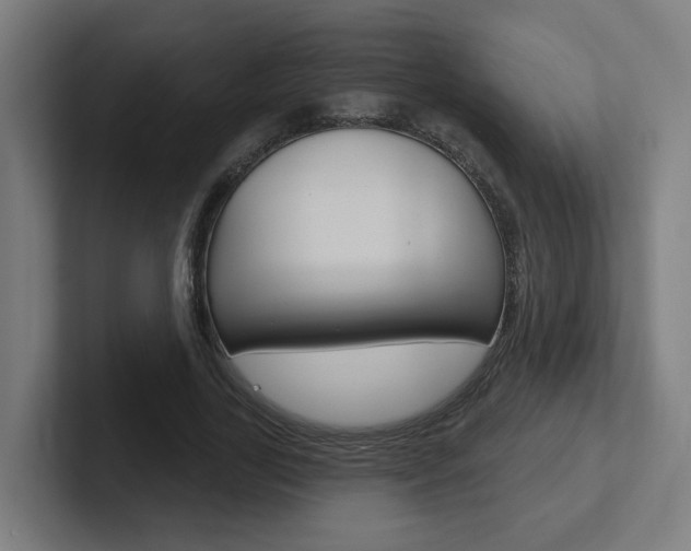 X0000102400731200808010954