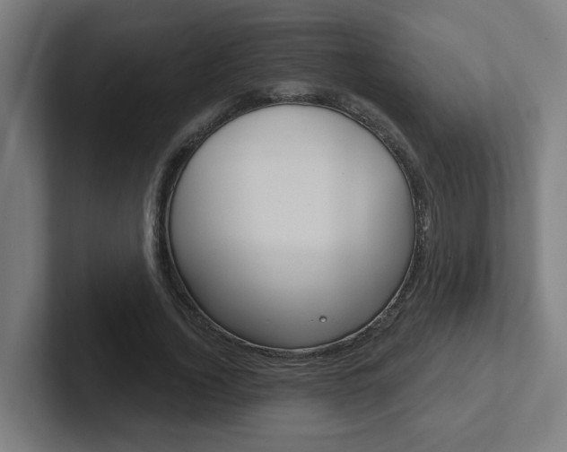 X0000102400732200808010954