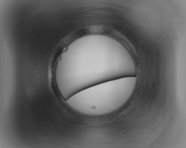 X0000102400733200808010954
