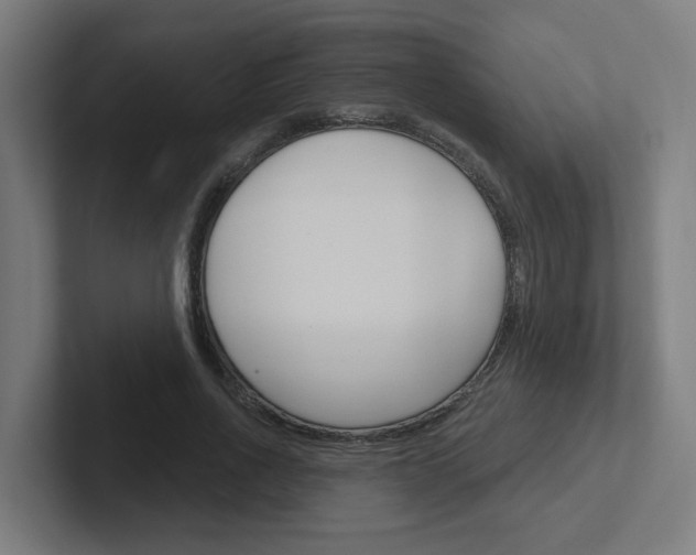 X0000102400734200808010954
