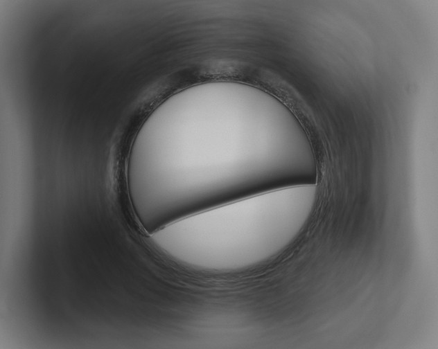 X0000102400735200808010954