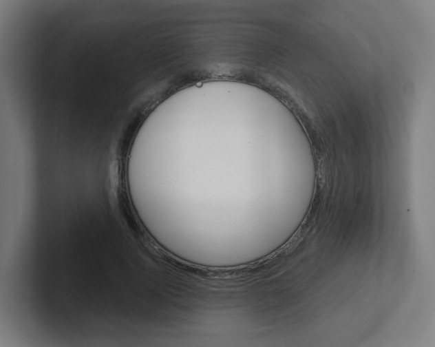 X0000102400740200808010955