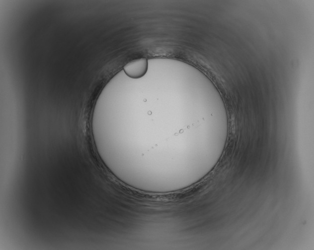 X0000102400741200808010955