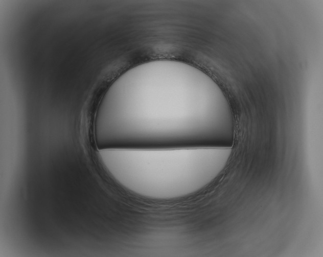 X0000102400742200808010955